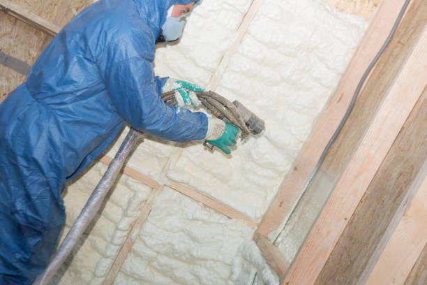 Best Insulation for New Construction  in Rendon, TX